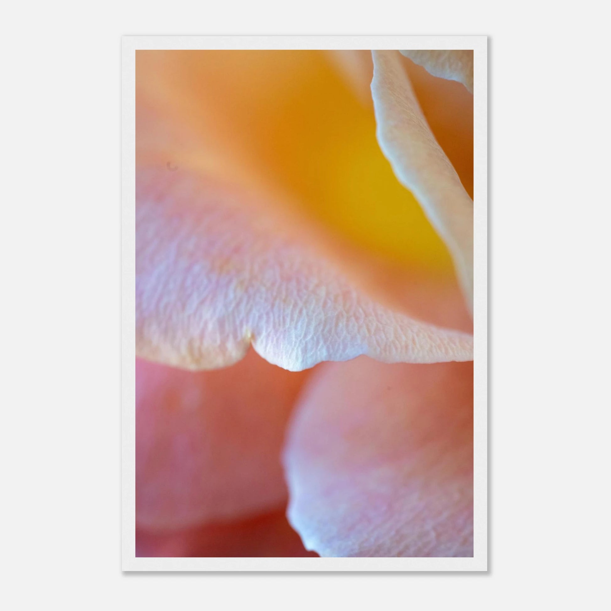 01e3ec08-47e2-48d0-b159-f32dd59417b7
