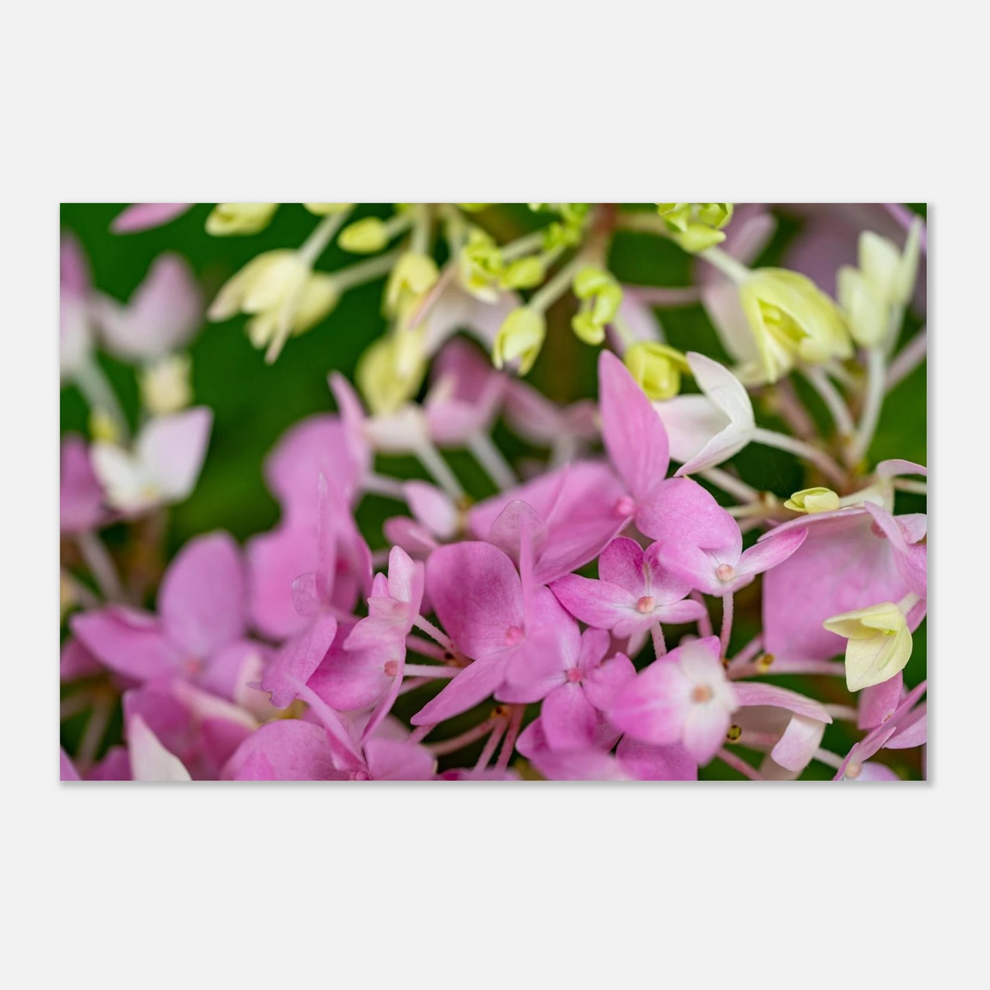0f847b04-1788-4e3e-b95f-257d92a510d9