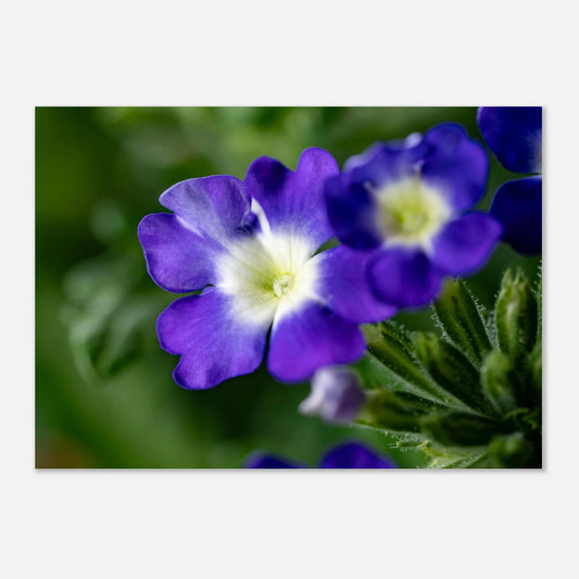 16157a44-9428-4657-b4cb-1593b7988340
