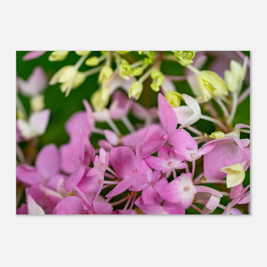 55f981fe-0060-499d-9b01-1c5d1052d4b1