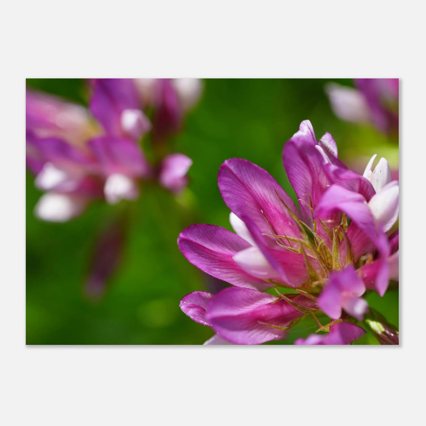 5a7efc31-5207-4c00-bd41-a84e2241df1a
