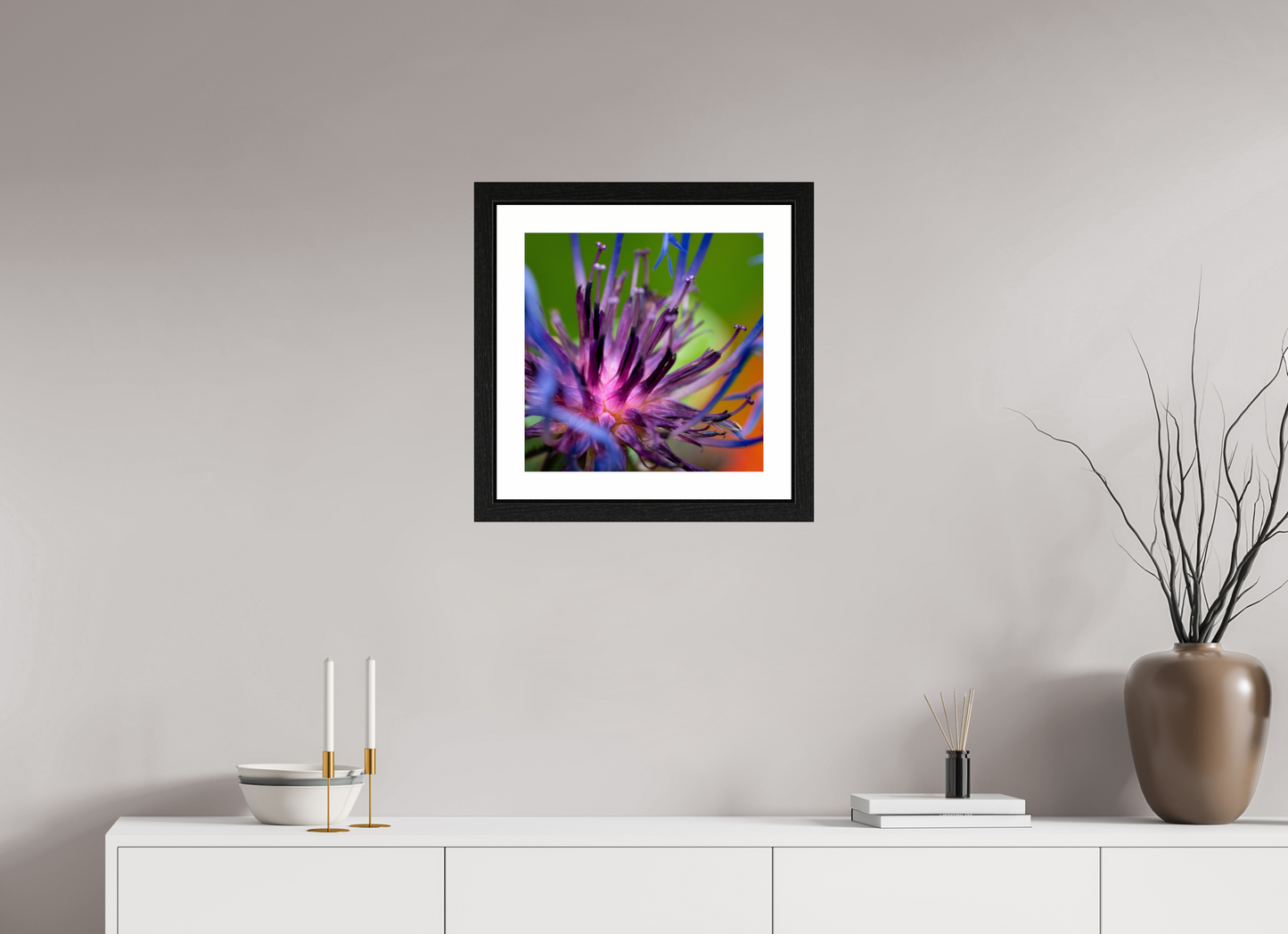 Herzkammer aus Licht – Centaurea cyanus