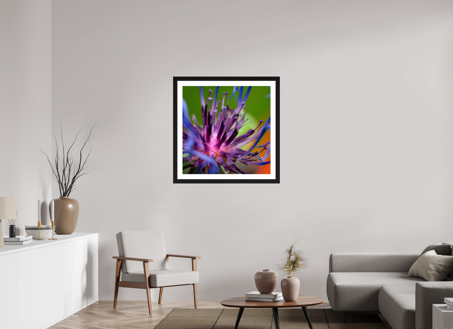 Herzkammer aus Licht – Centaurea cyanus