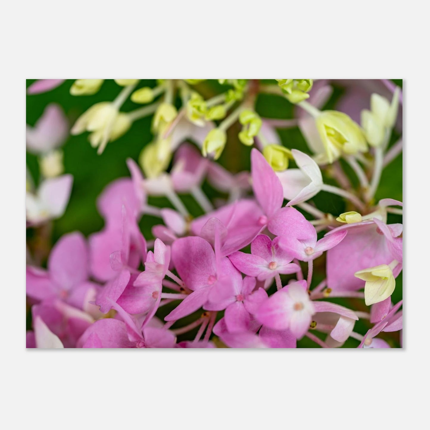 665e748b-bf26-4fe3-a010-ad219314f5cd