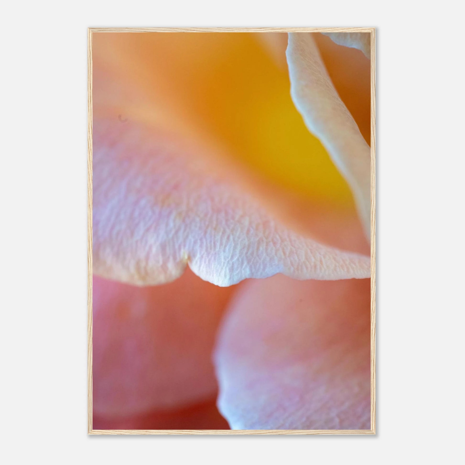 6fbc0db7-b2f0-45e7-924d-4ad927303d87