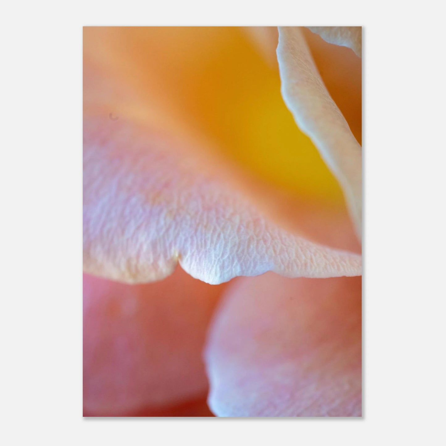 733bfbdf-769c-4a50-b918-5df2f458481a