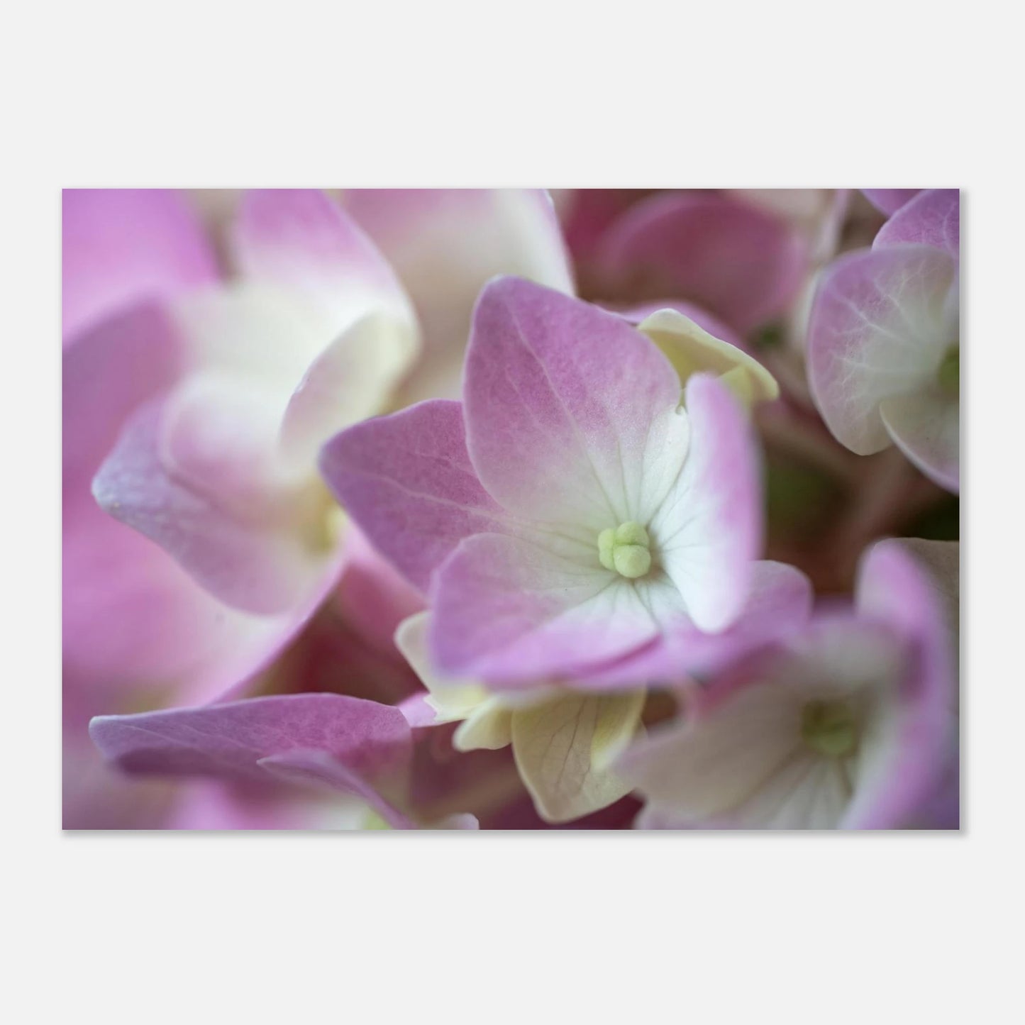 7a2d5c45-c901-45ef-b878-0ac134152592