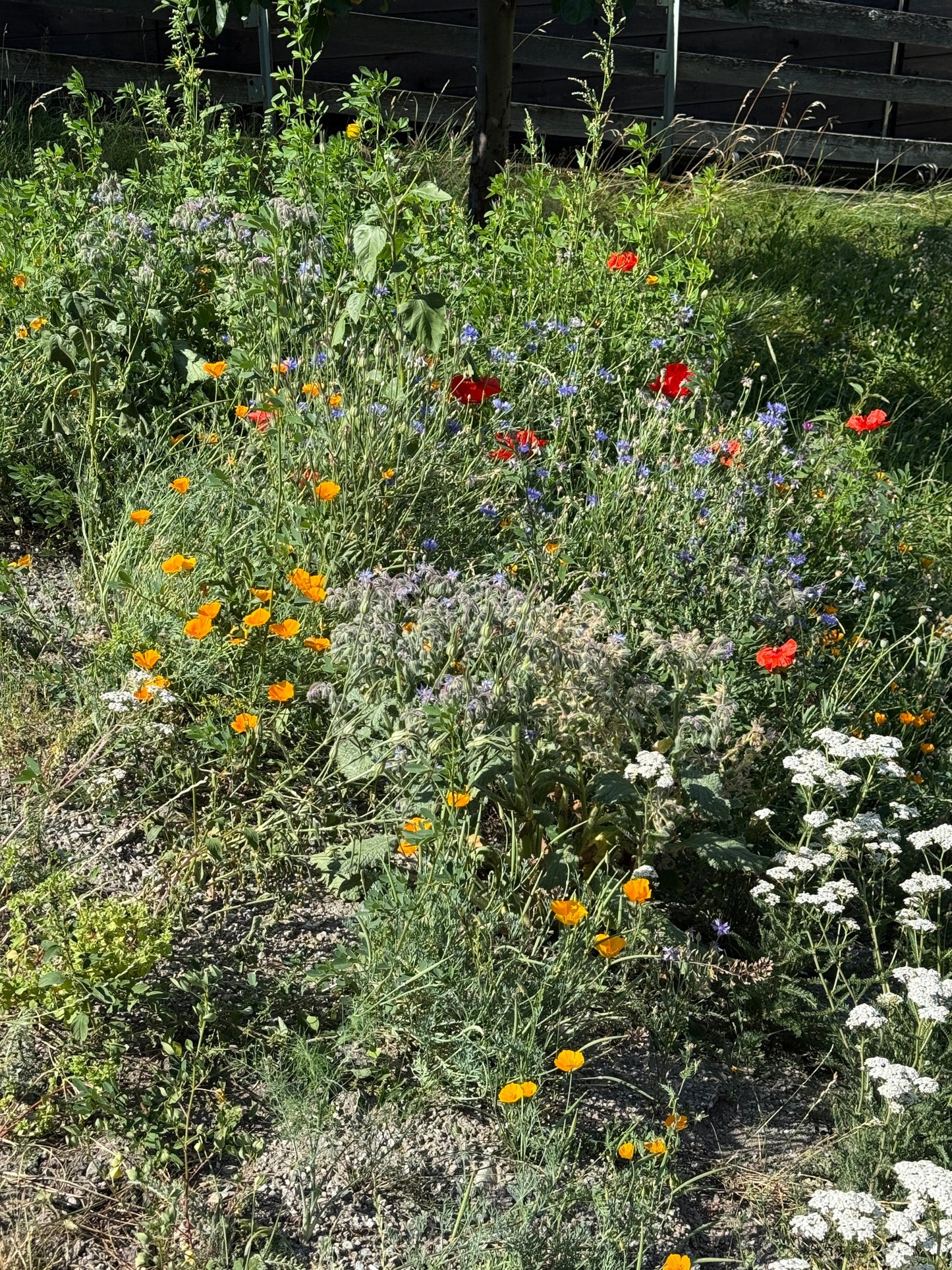 Künstlerisches Blumenbild mit intensiven Farben