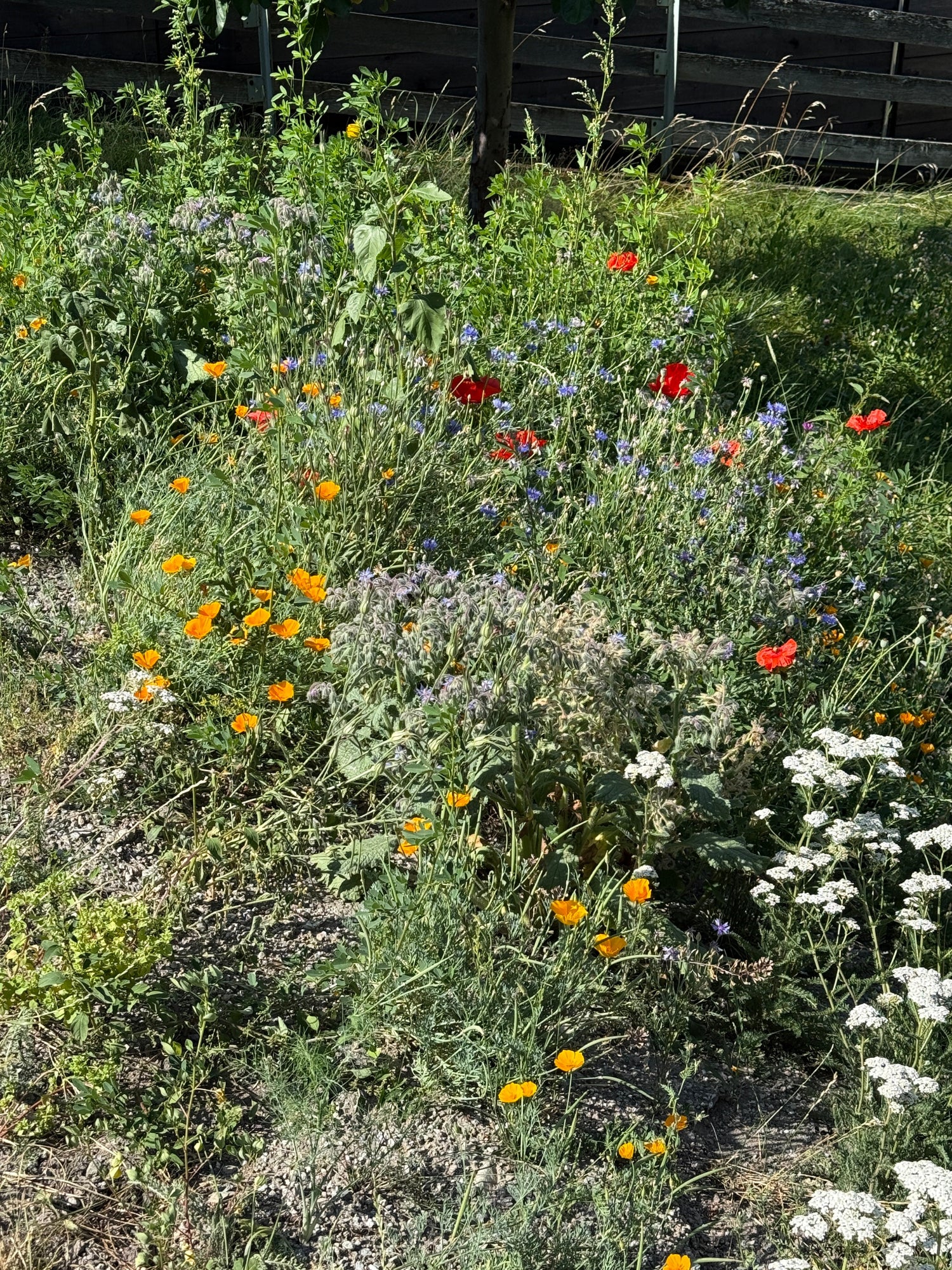 Künstlerisches Blumenbild mit intensiven Farben