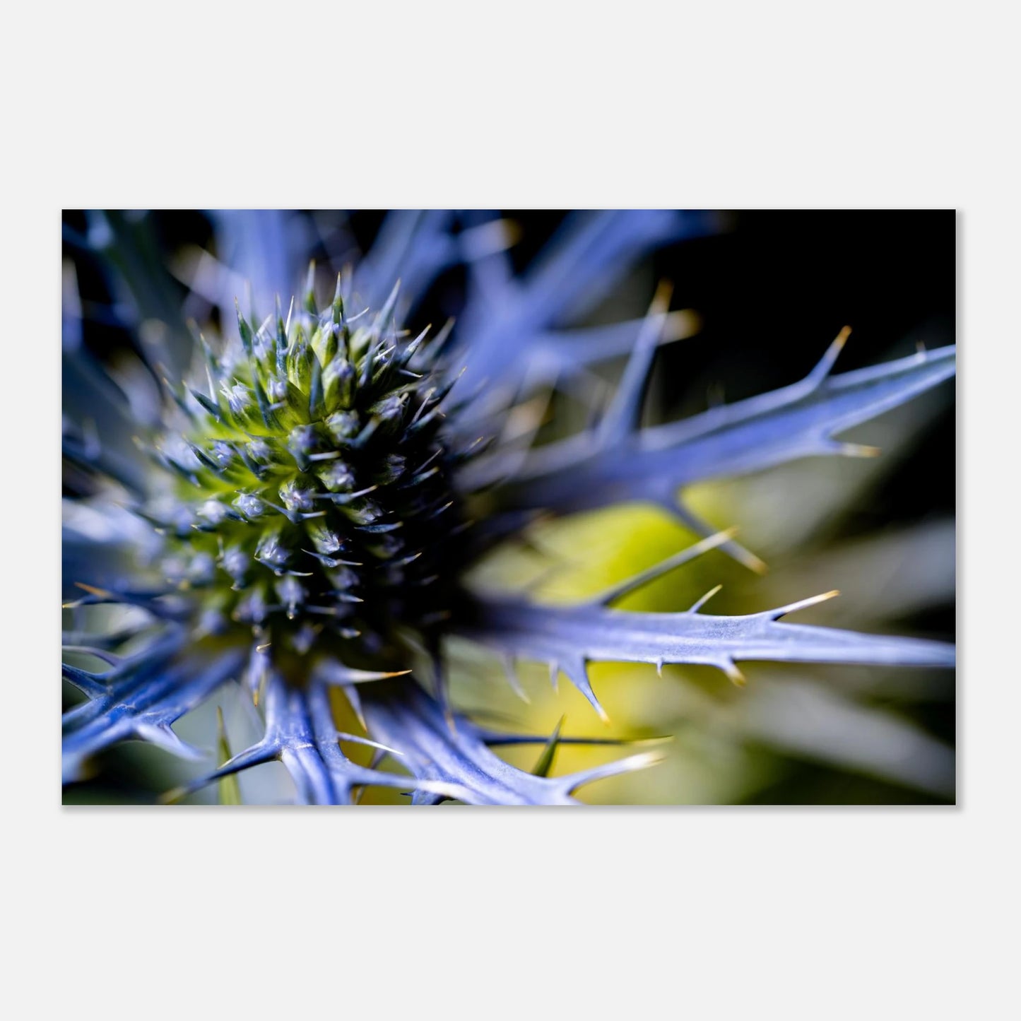 a2e27134-2f45-40a7-96ea-b7dfe5ea61ce