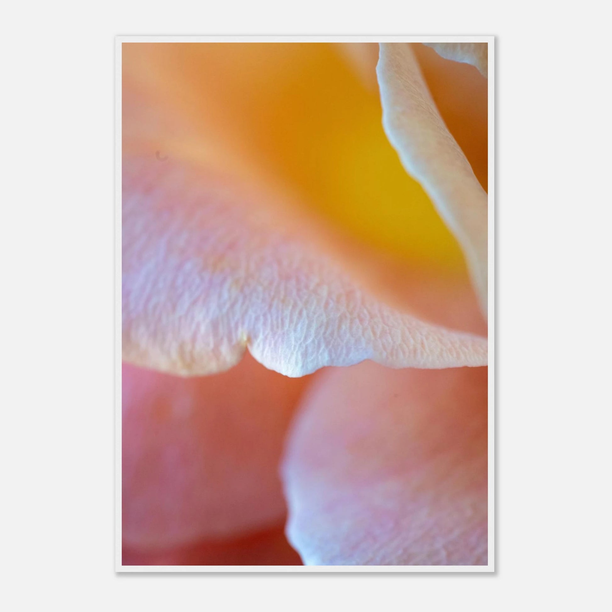 a4afec64-eb23-4b66-91d3-af6f0c86547f