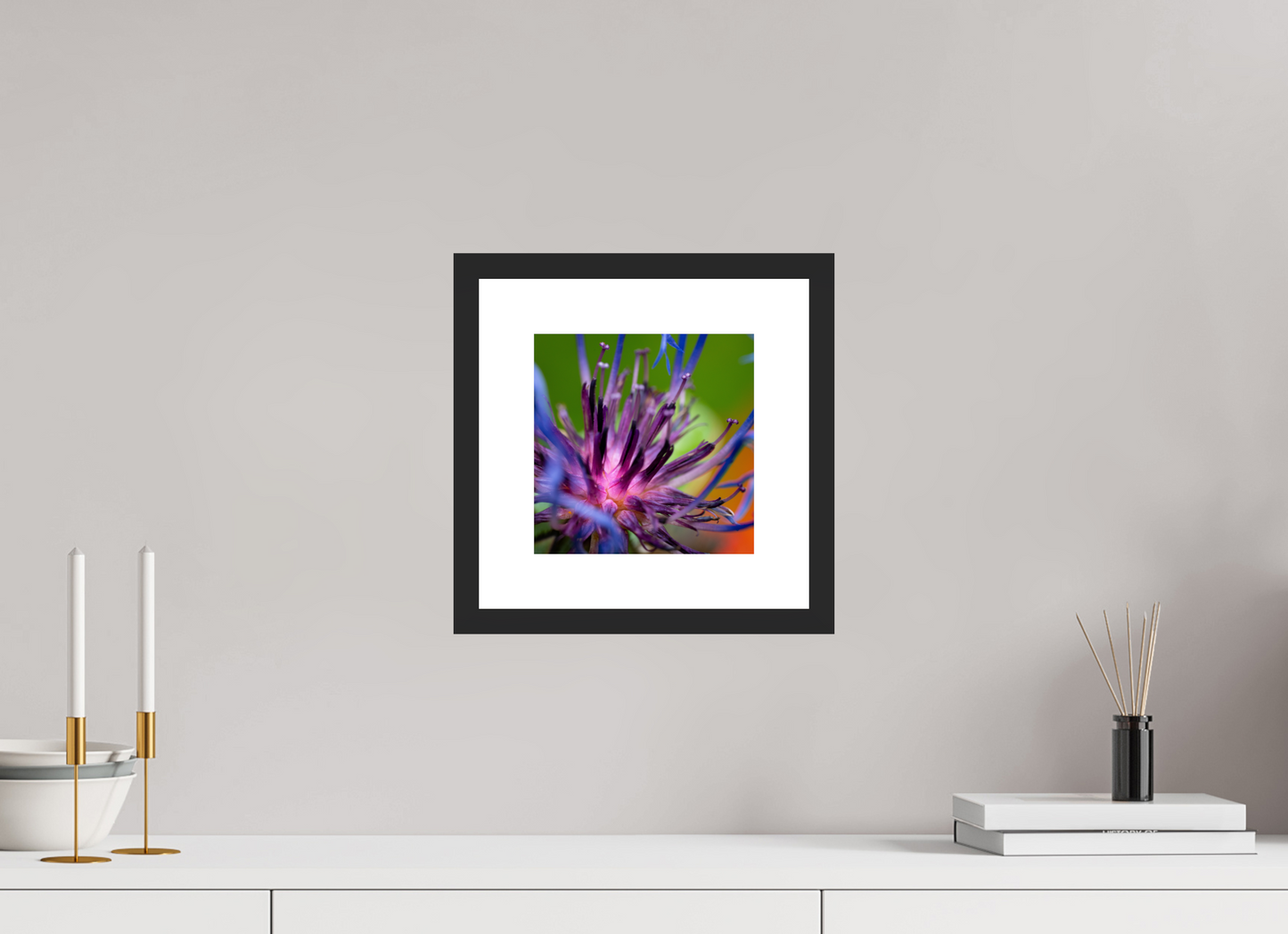 Herzkammer aus Licht – Centaurea cyanus