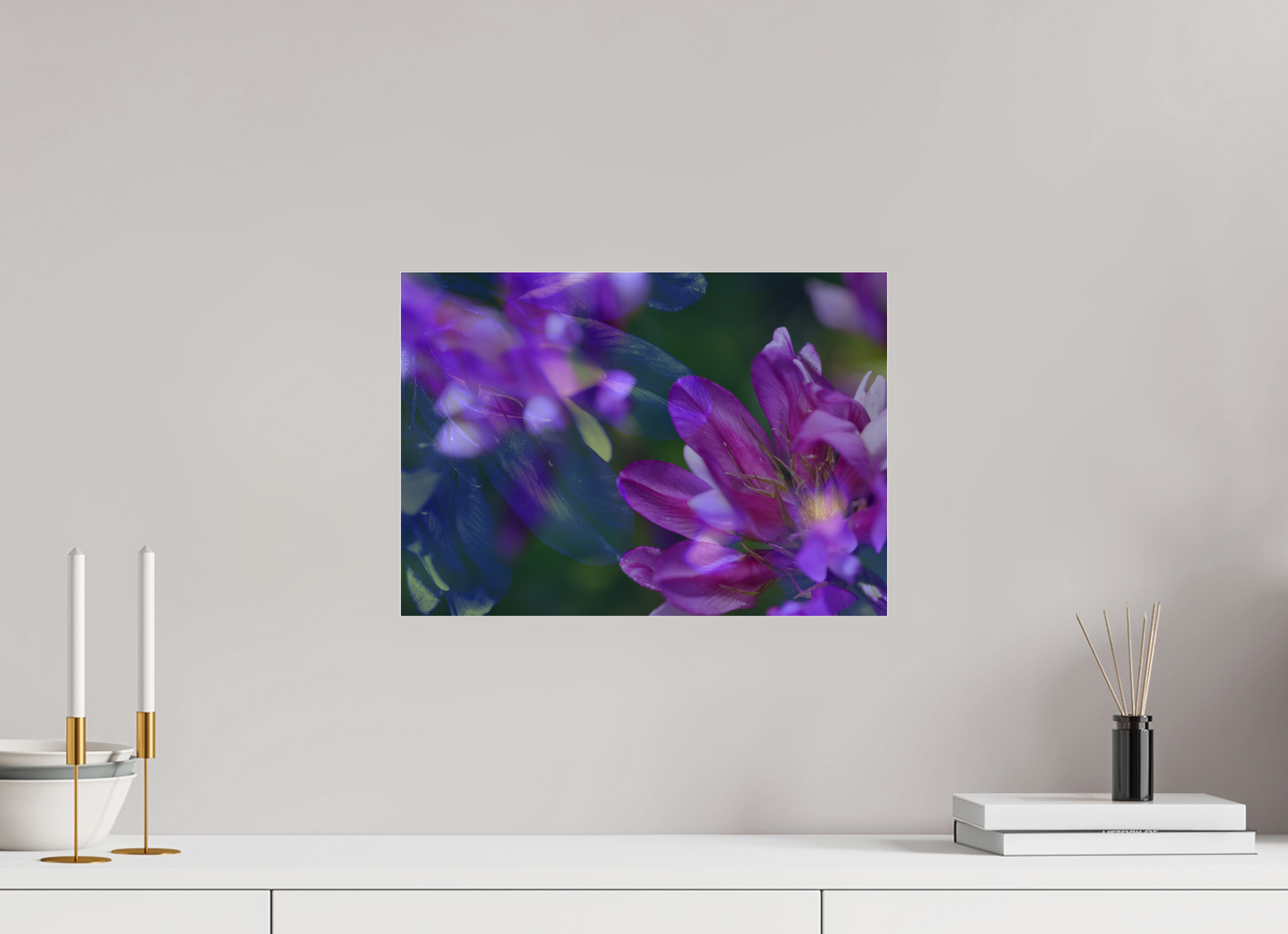 Tanz der Blütenblätter - Astragalus alpinus
