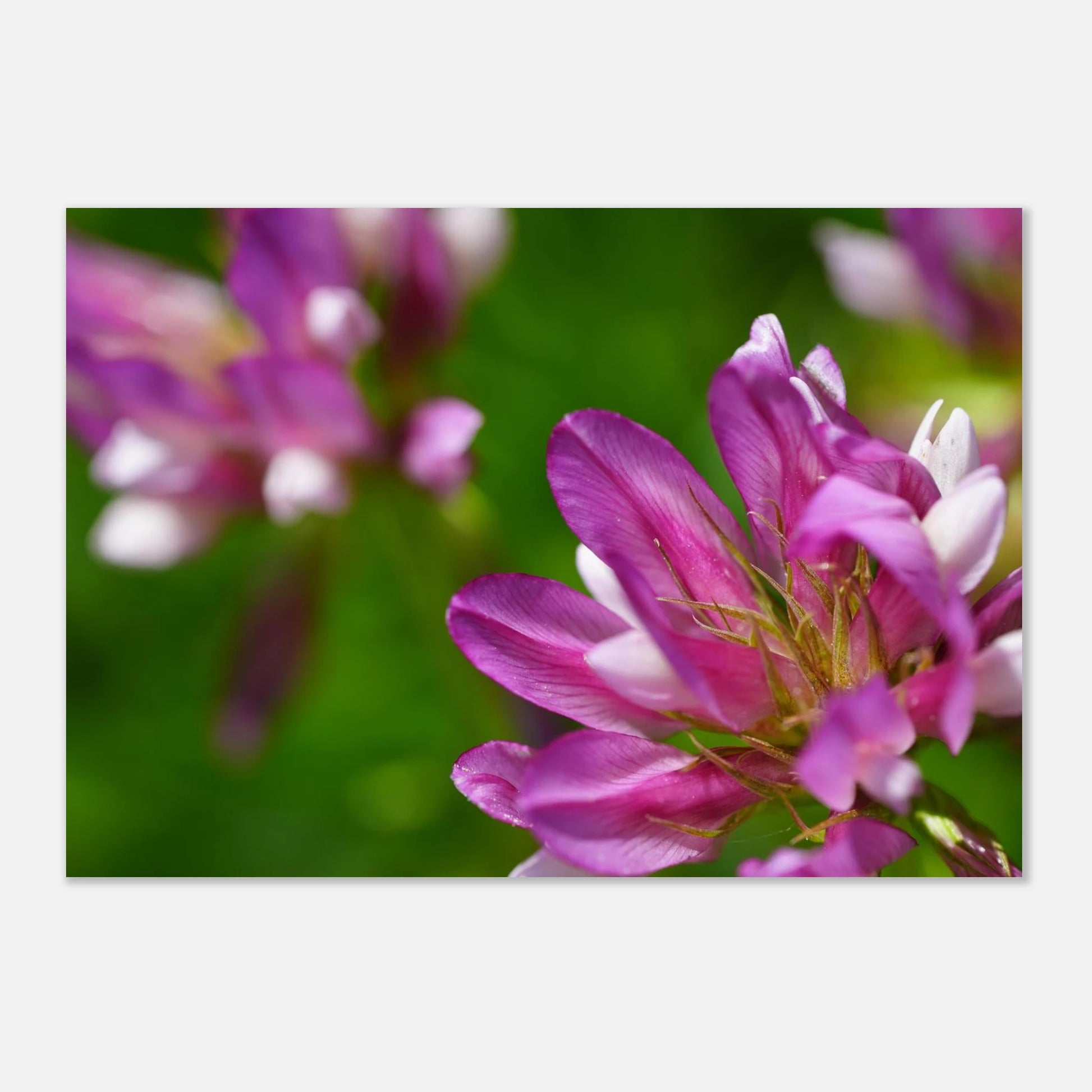 ab80c6ea-9051-4bef-9ff4-2c5cb6d61b75