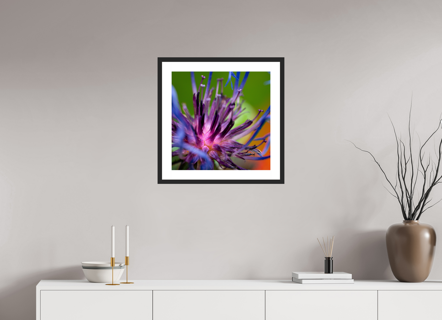 Herzkammer aus Licht – Centaurea cyanus