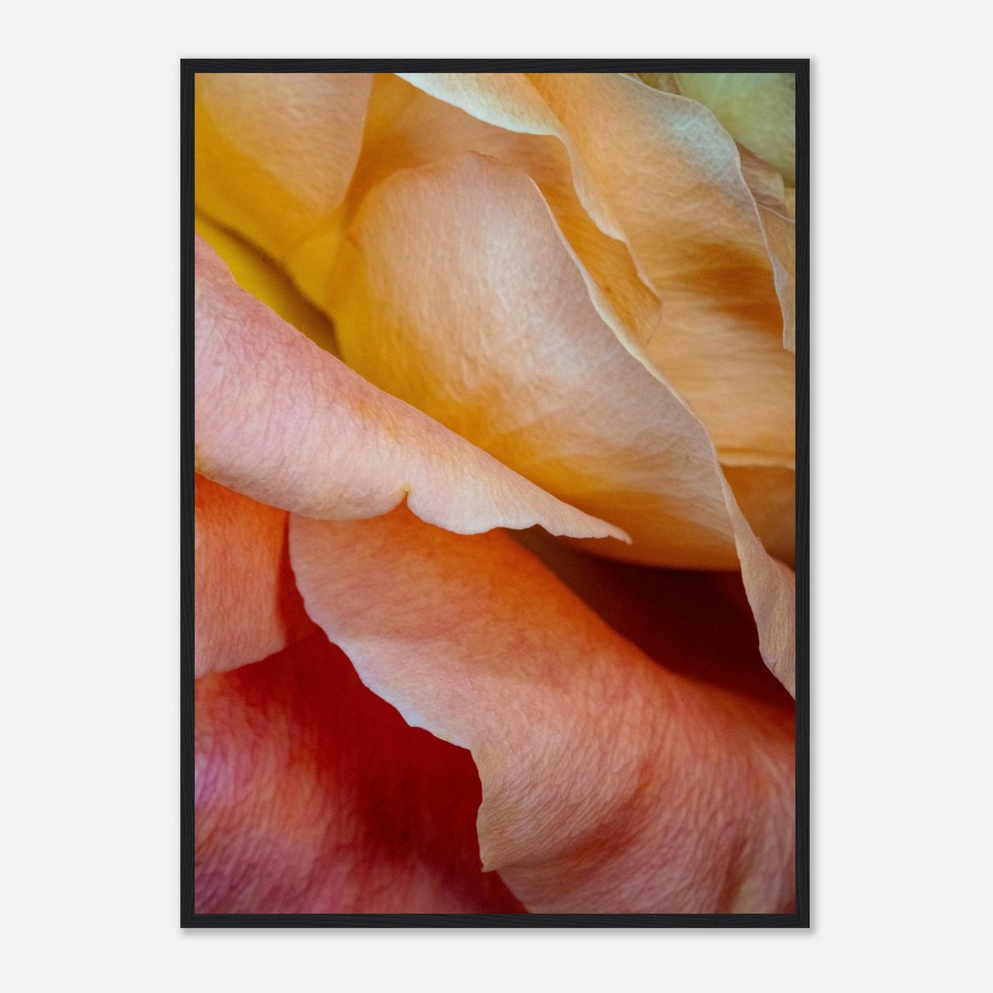 bb9e3650-b2c1-402f-ba17-dd9b1df2802d
