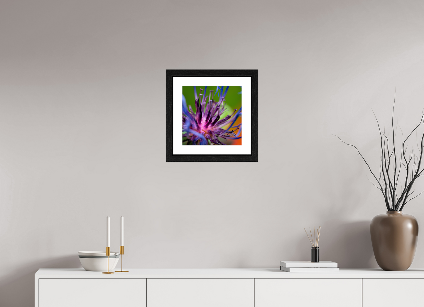 Herzkammer aus Licht – Centaurea cyanus