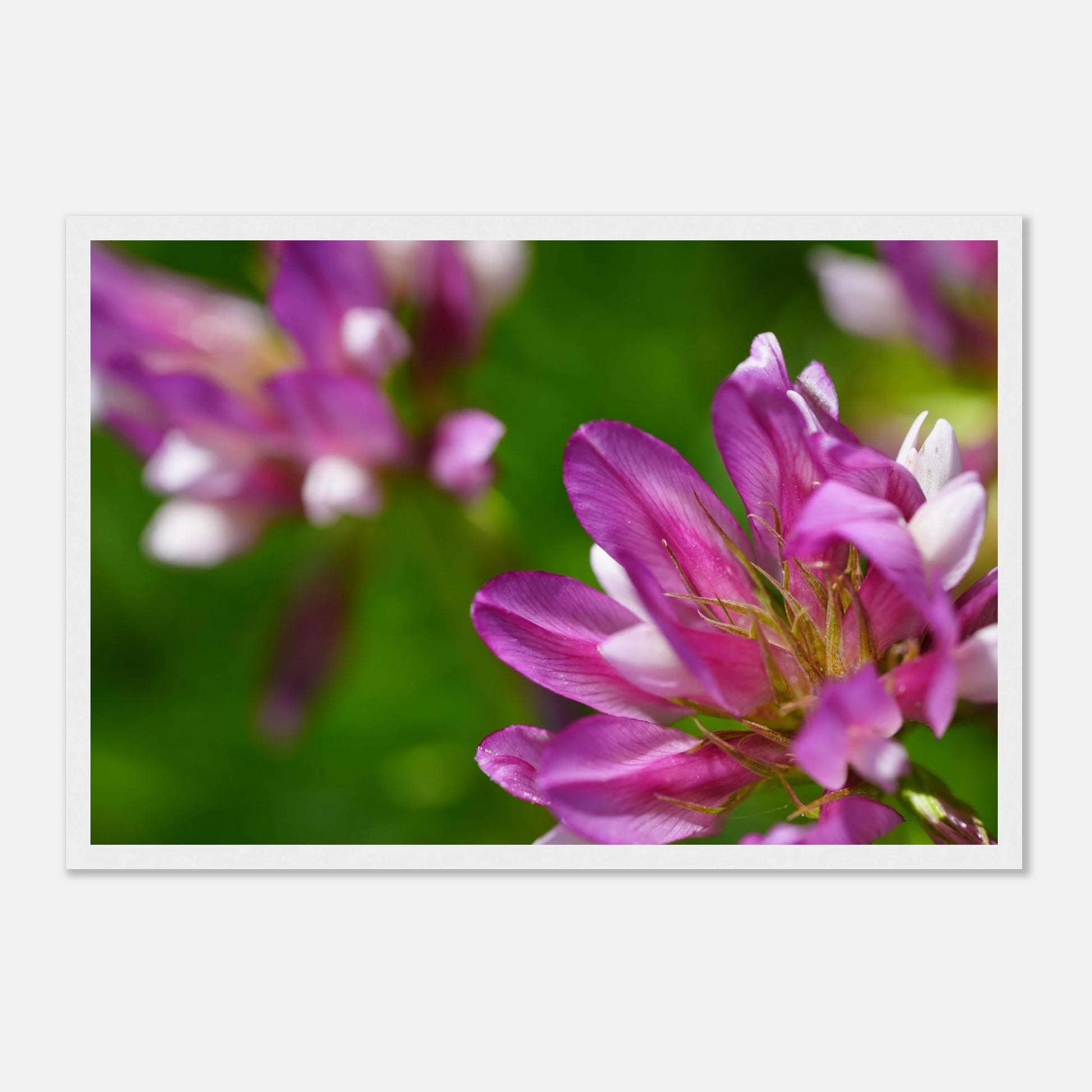 d1addb17-0909-432b-ba56-bf6a778d032c