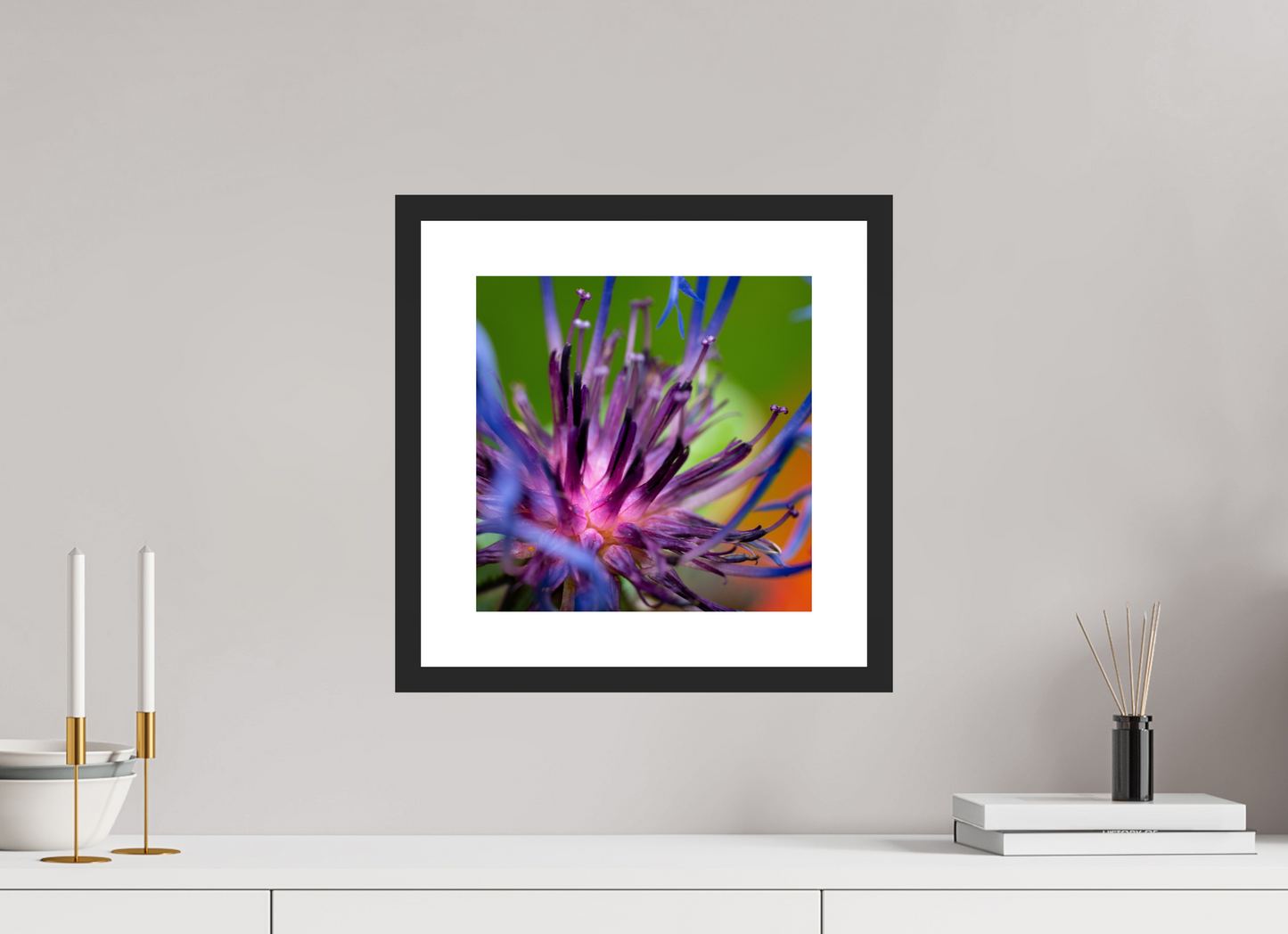 Herzkammer aus Licht – Centaurea cyanus