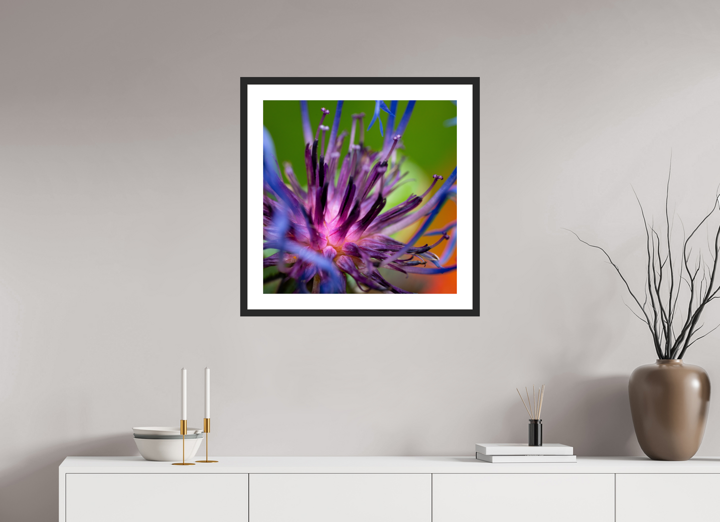 Herzkammer aus Licht – Centaurea cyanus