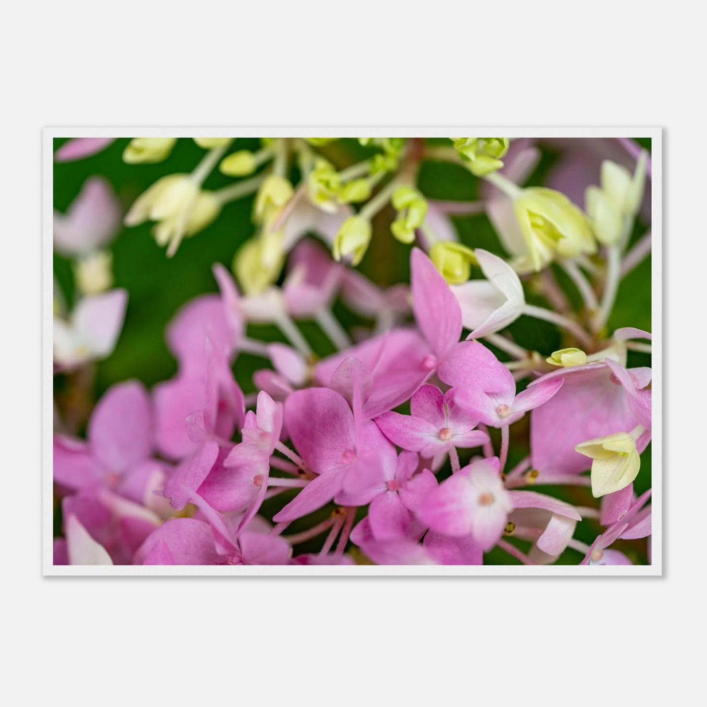 df0cb58b-ee06-4dc7-9243-ab77f9c022b6