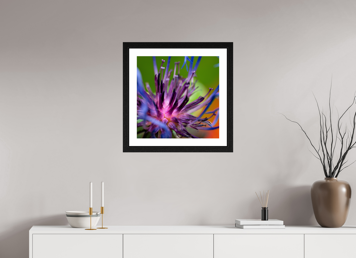 Herzkammer aus Licht – Centaurea cyanus