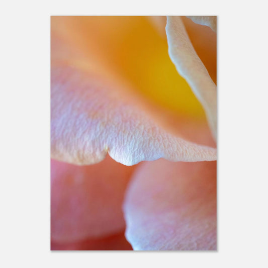 f00006a2-2f88-44a1-8bc8-b485f974c08b