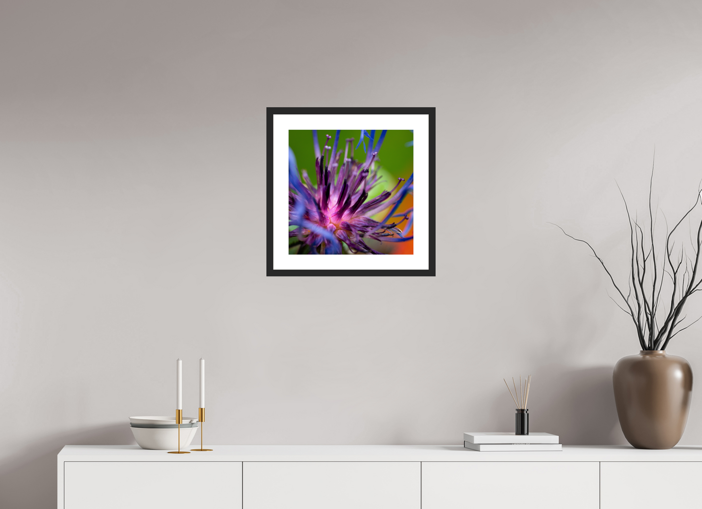 Herzkammer aus Licht – Centaurea cyanus