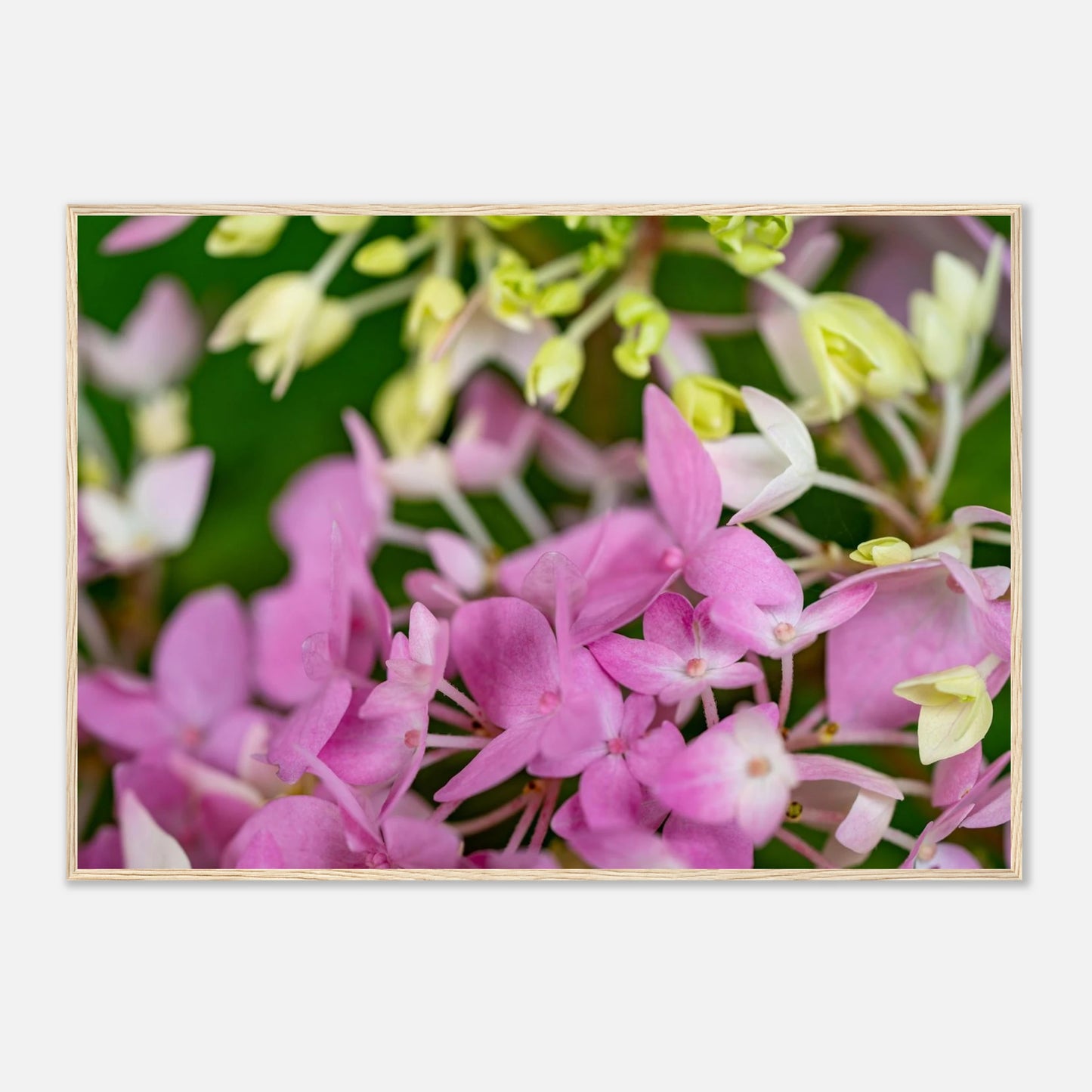 f984d25b-c041-4d59-ba31-956b9a2fabfd
