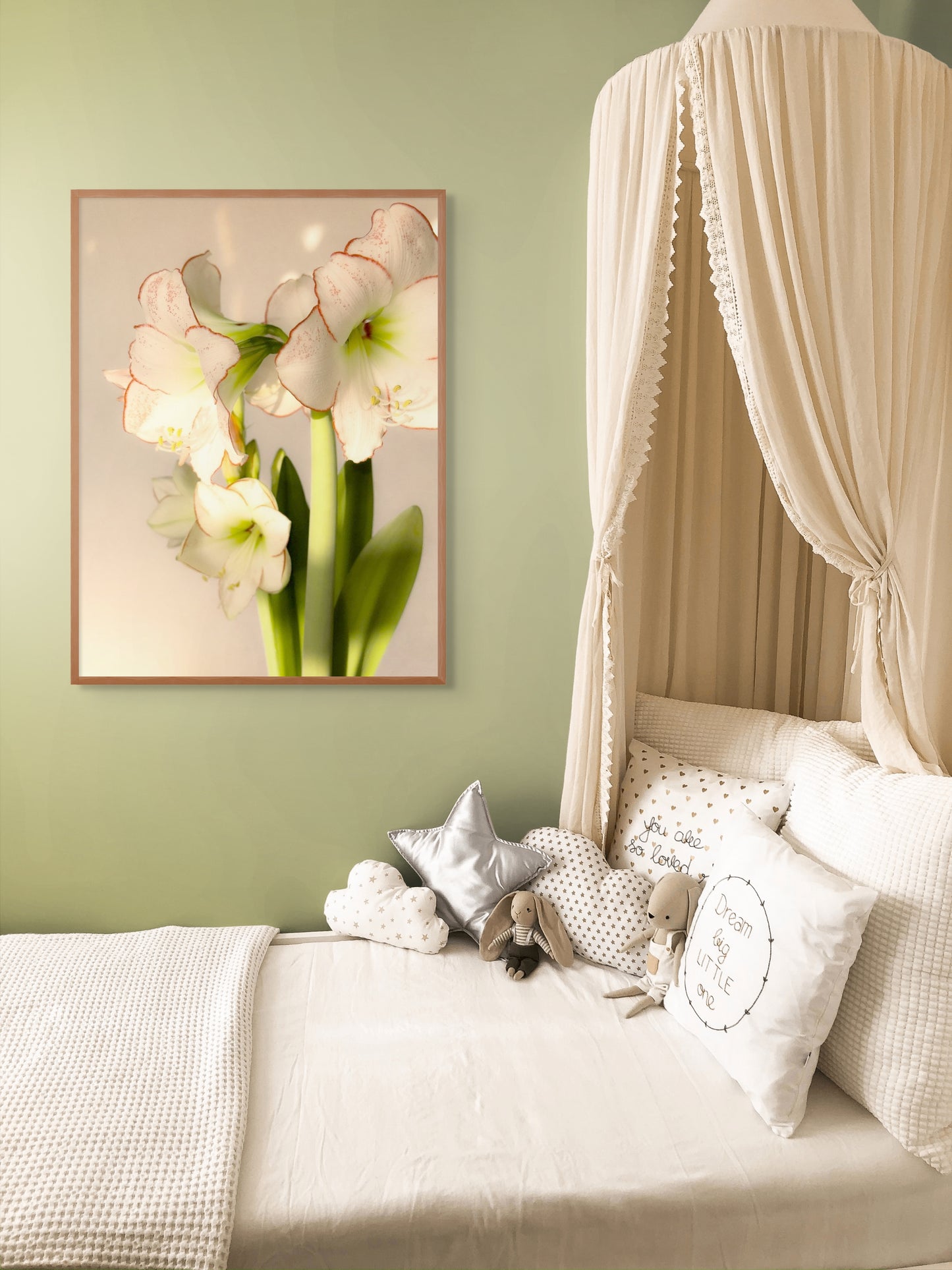 Lichtblick im Winter – Hippeastrum hybridum