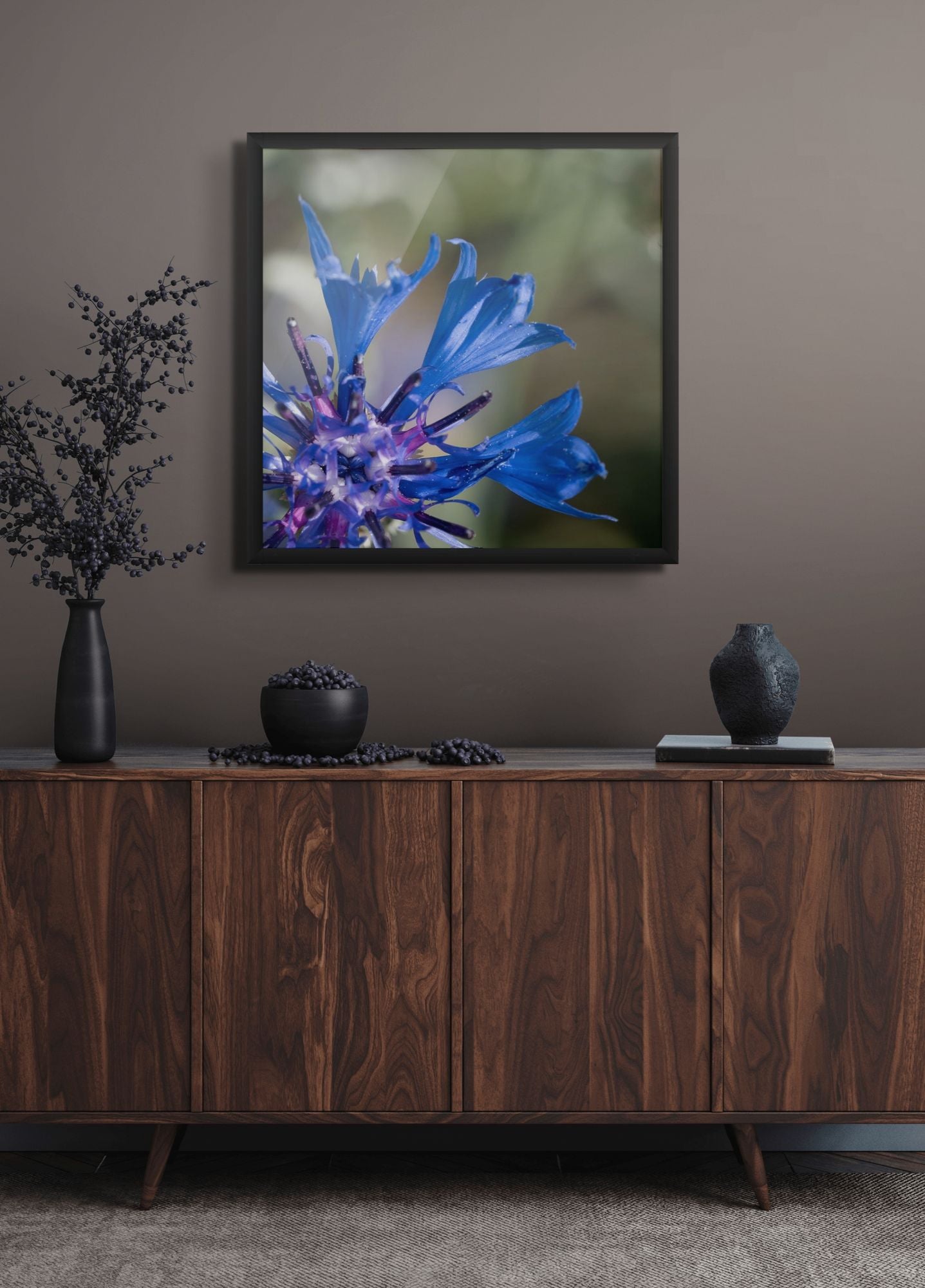 Blauer Wirbel - Centaurea cyanus